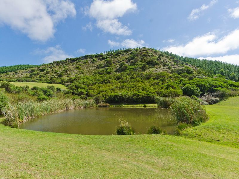 NEW RELEASE : Phase 3 Plots - Photo 10