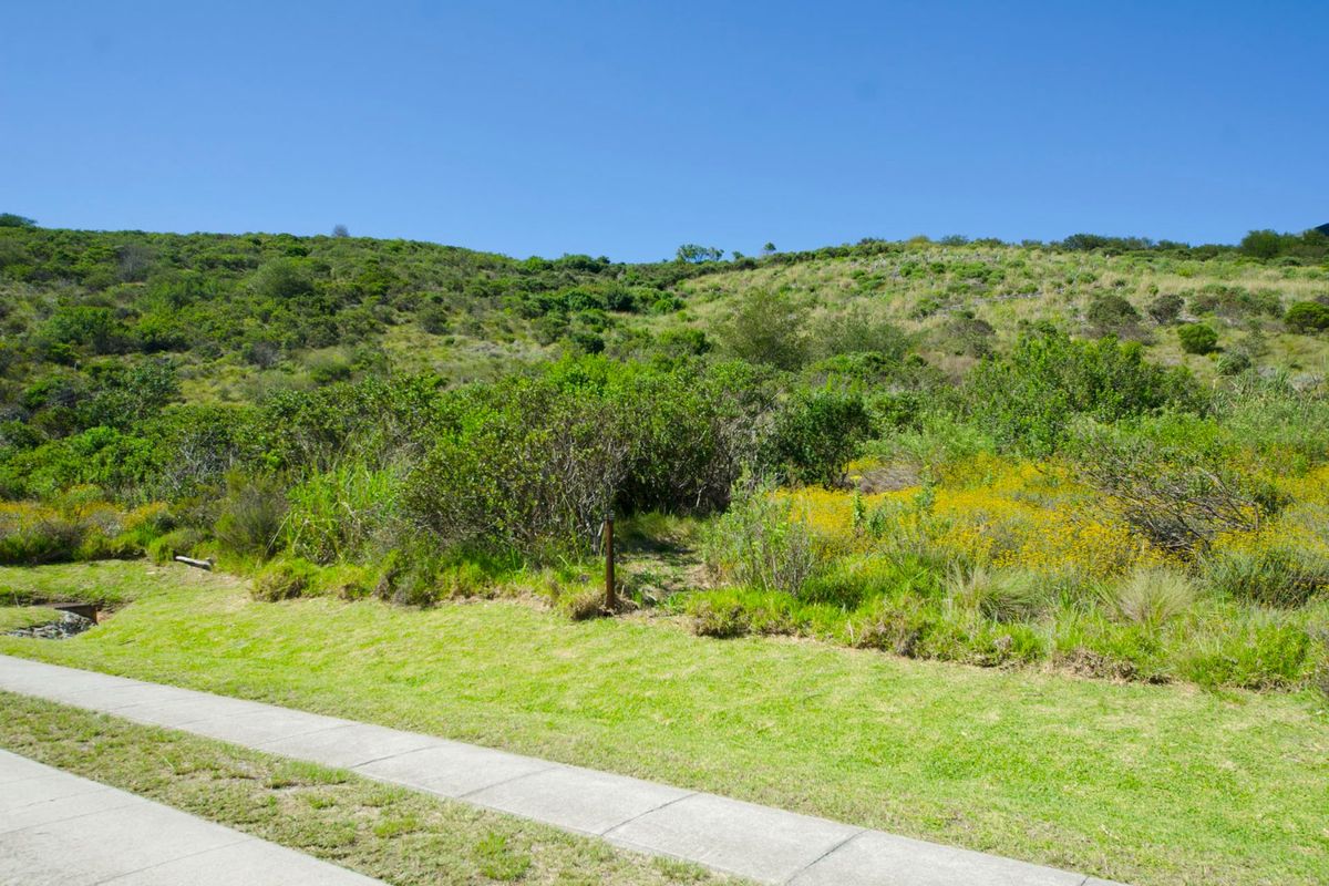 NEW RELEASE : Phase 3 Plots - Photo 5