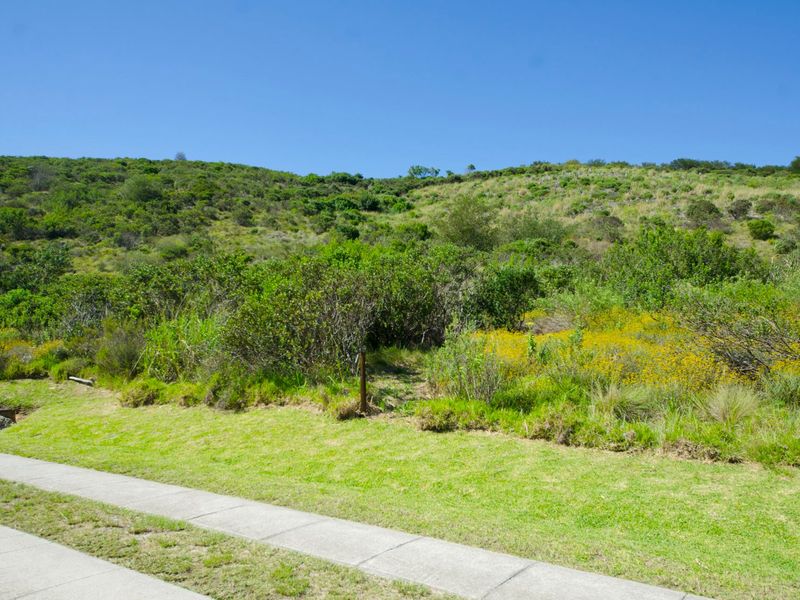 NEW RELEASE : Phase 3 Plots - Photo 5