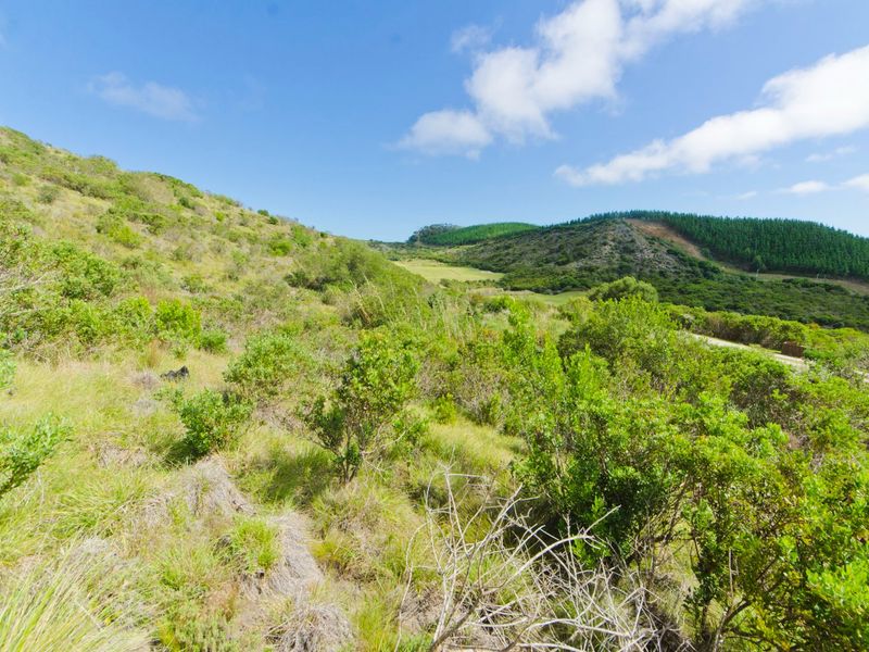 NEW RELEASE : Phase 3 Plots - Photo 6