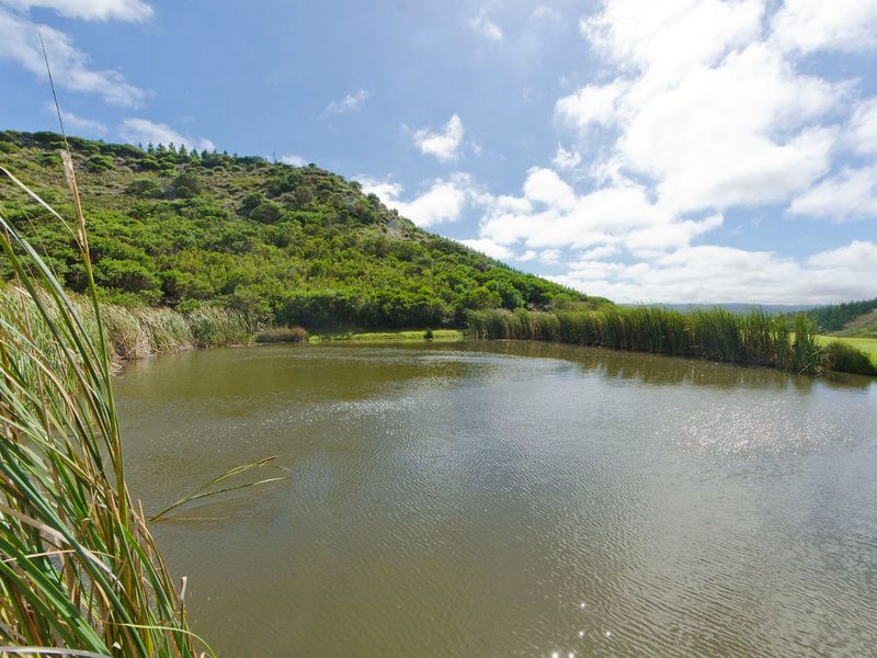 NEW RELEASE : Phase 3 Plots - Photo 9