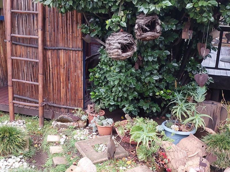 Spacious Old Charm Family Home  - Photo 5