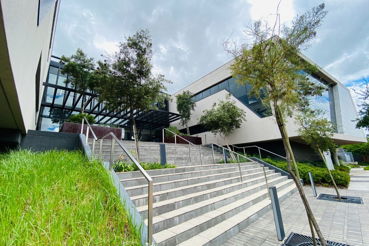 Modern commercial building entrance featuring a wide stone staircase, stainless steel handrails, and contemporary glass facade with professional landscaping.