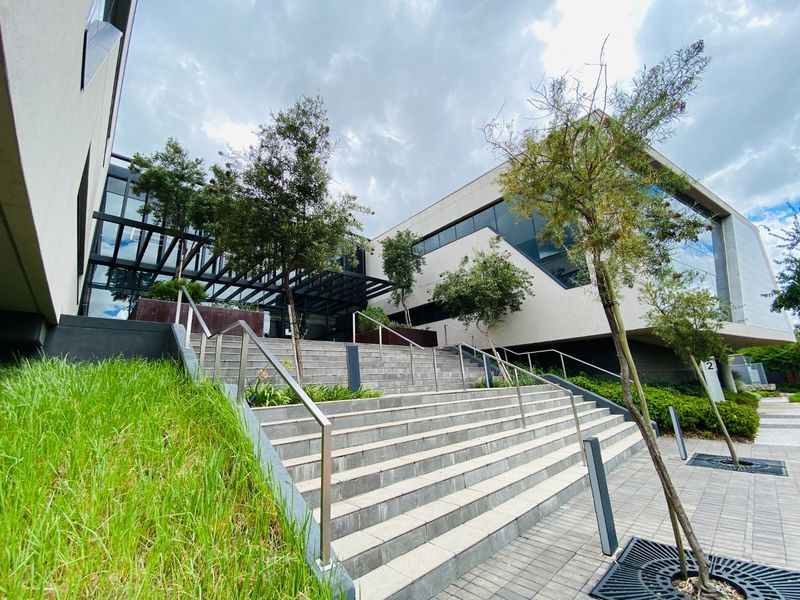 Modern commercial building entrance featuring a wide stone staircase, stainless steel handrails, and contemporary glass facade with professional landscaping.