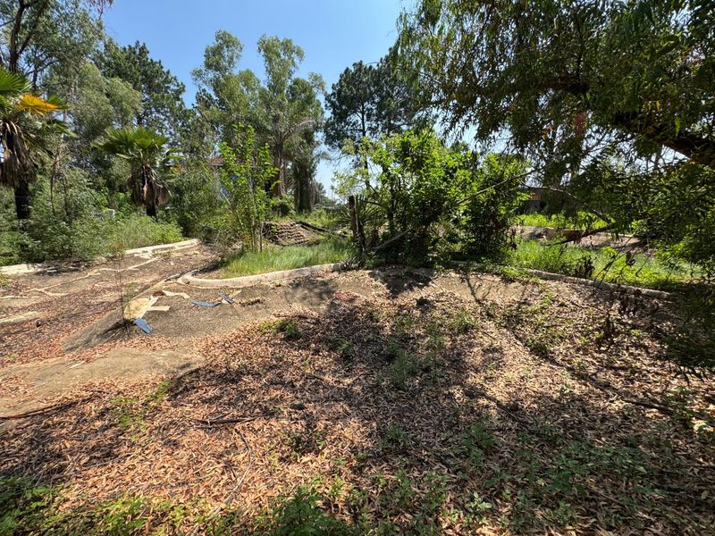 Majestic Estate Revival Opportunity - Photo 10