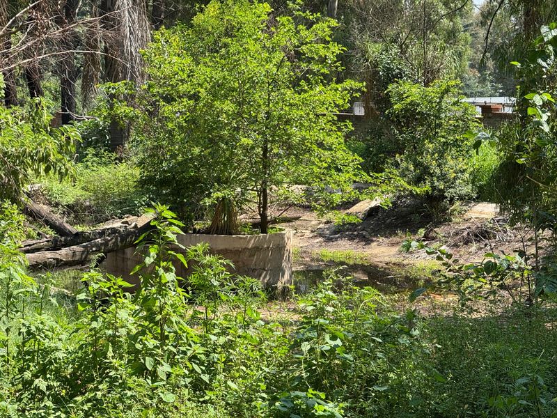 Majestic Estate Revival Opportunity - Photo 9