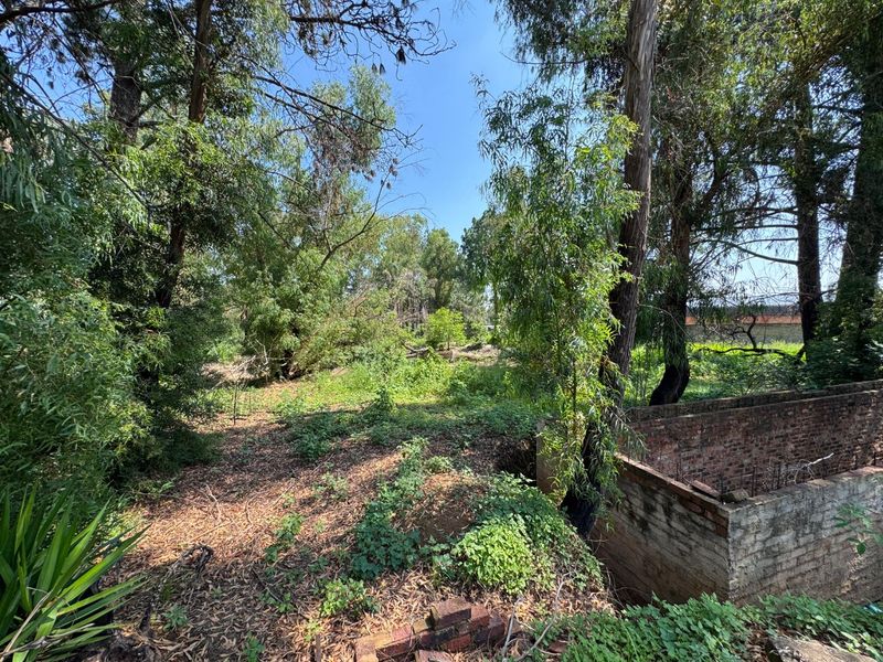 Majestic Estate Revival Opportunity - Photo 8