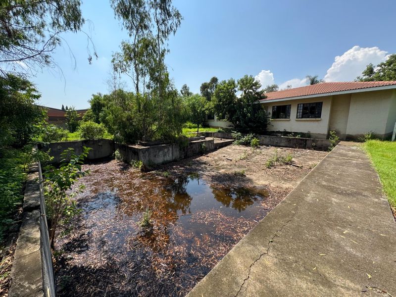 Majestic Estate Revival Opportunity - Photo 7
