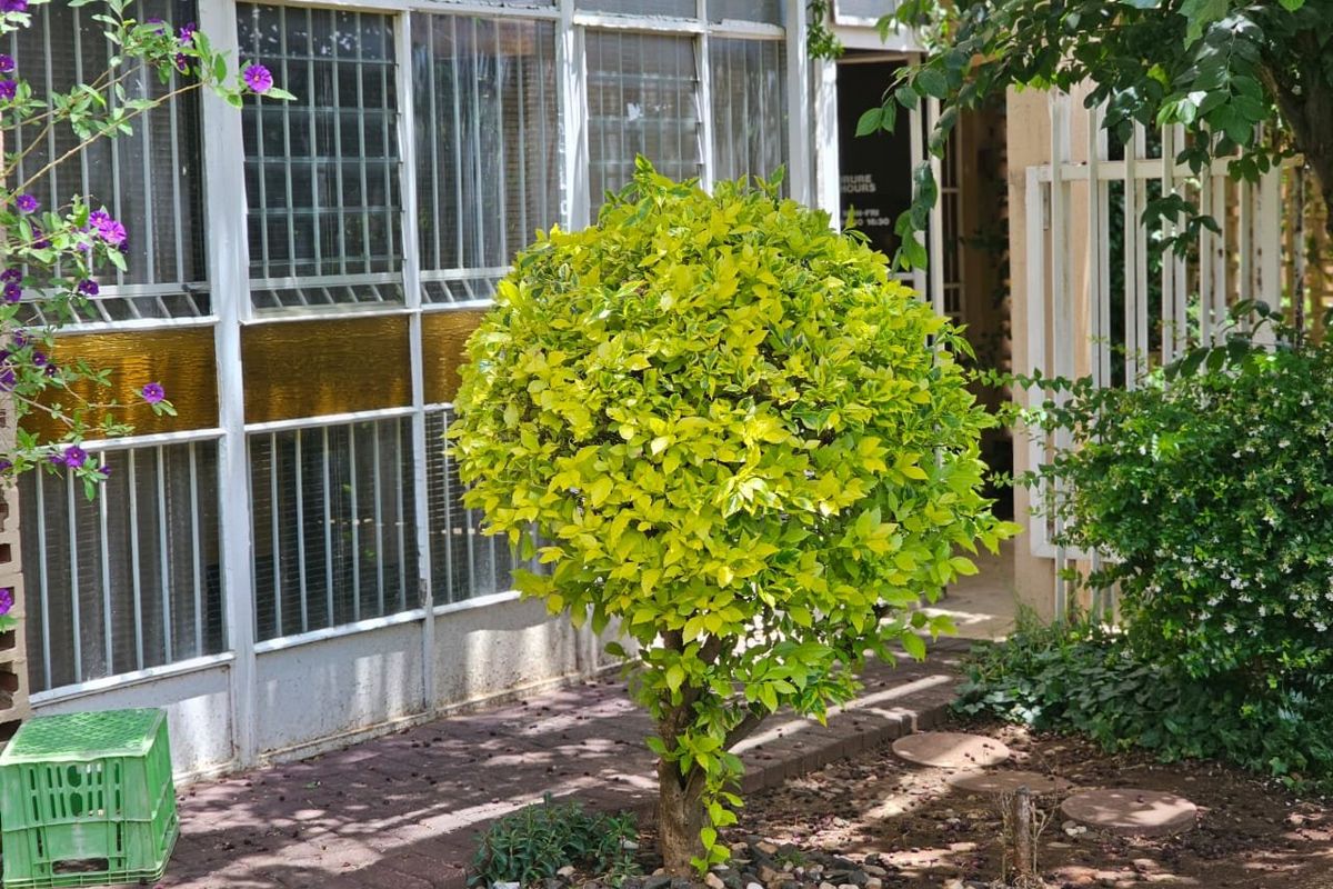 Excellent Investment Property for sale in Westdene, Bloemfontein - Photo 3