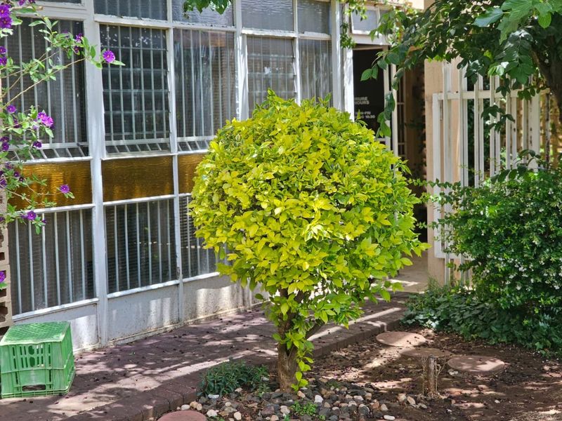 Excellent Investment Property for sale in Westdene, Bloemfontein - Photo 3
