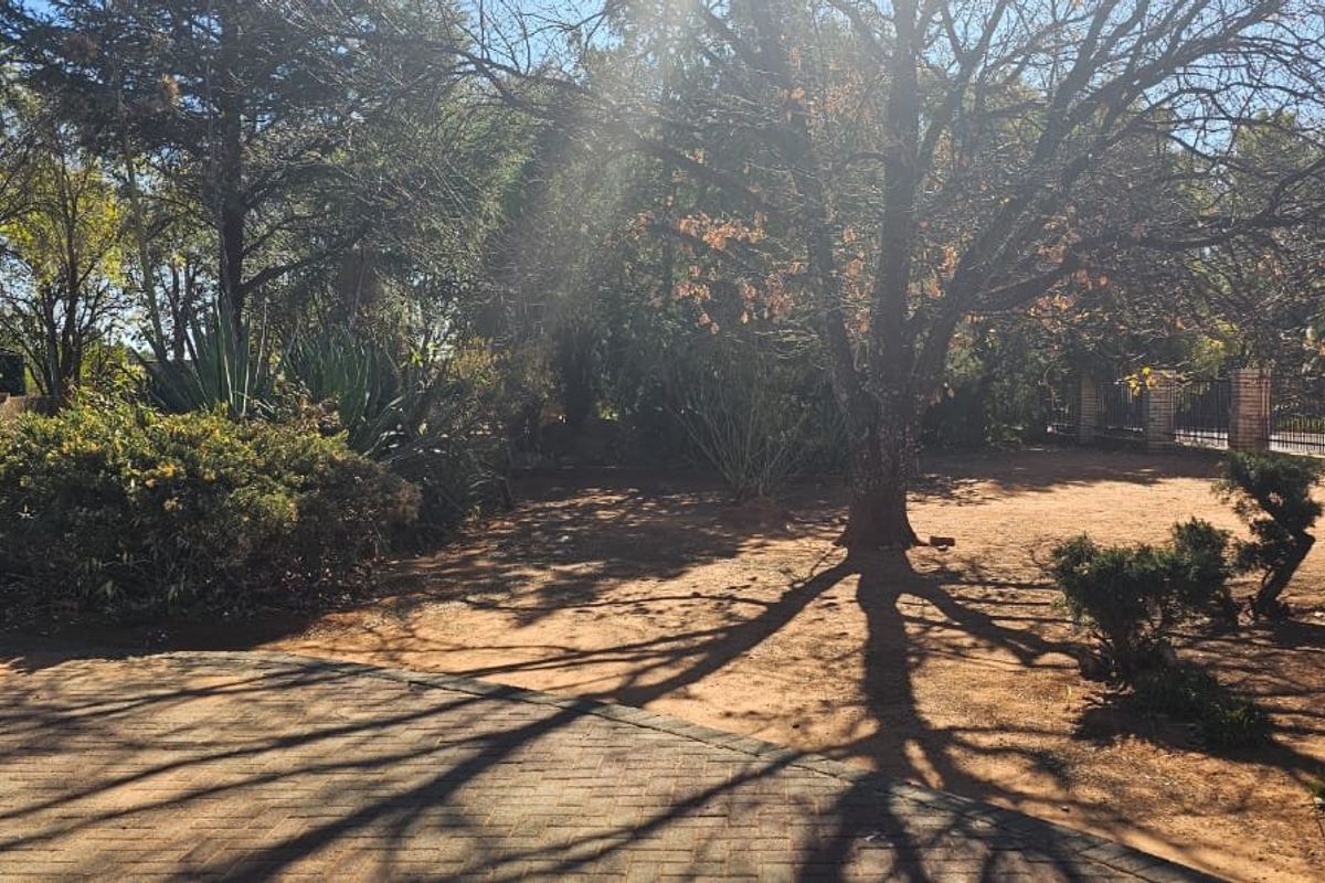 Agricultural plot for sale in Spitskop with lots of possibilities.  - Photo 2