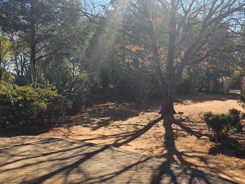 Agricultural plot for sale in Spitskop with lots of possibilities.  - Photo 2