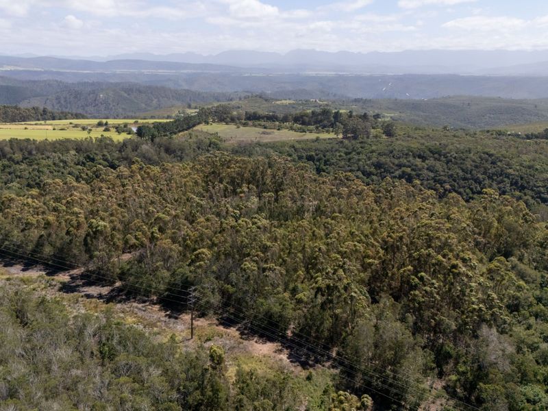 An aerial view of a large, undeveloped residential land parcel featuring dense woodland and overhead power lines with distant mountain views.
