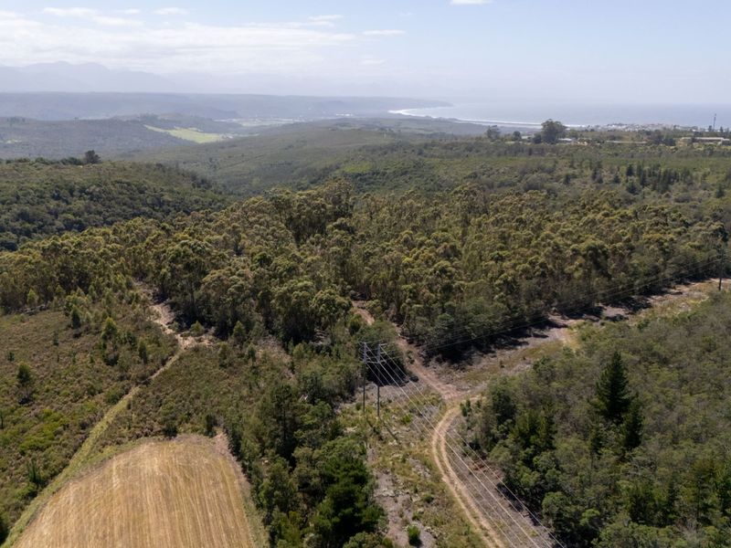 Aerial view of a large vacant residential plot featuring native woodland, a dirt access track, and overhead power lines with distant coastal views.