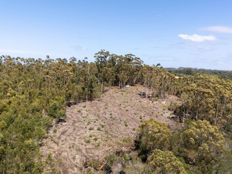 An aerial view of a vacant residential plot featuring a partially cleared area surrounded by established native trees and natural landscape.