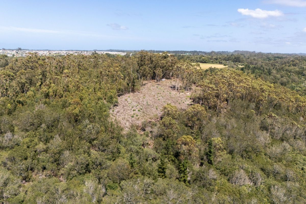 An aerial view of a residential vacant land plot featuring a cleared area surrounded by dense native woodland and established trees.
