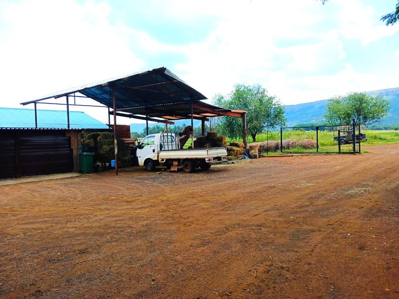 Versatile 28-Hectare Farm with Lucerne Income, Boreholes and Modern Housing Near Van der Hoff Road - Photo 4
