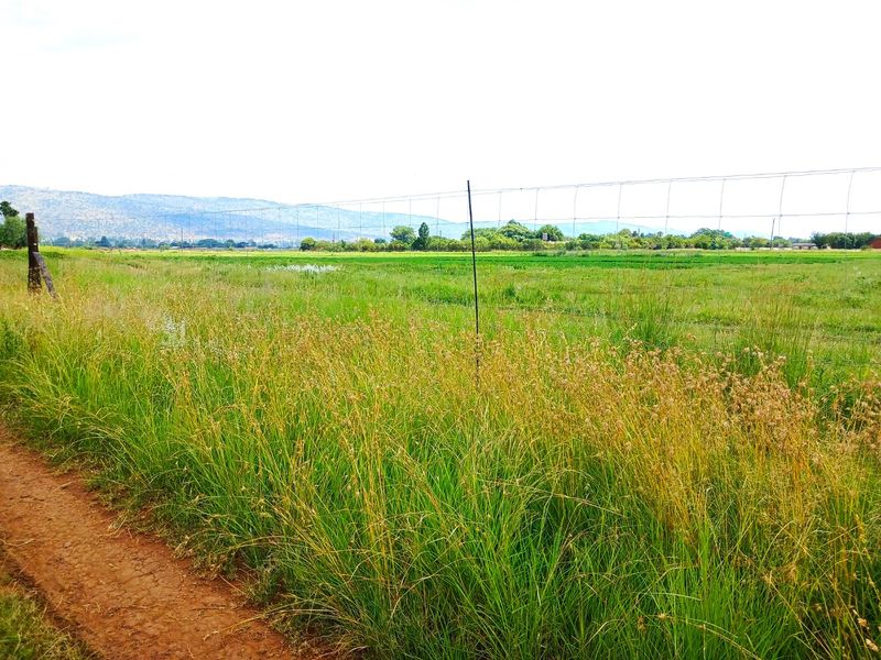 Versatile 28-Hectare Farm with Lucerne Income, Boreholes and Modern Housing Near Van der Hoff Road - Photo 9