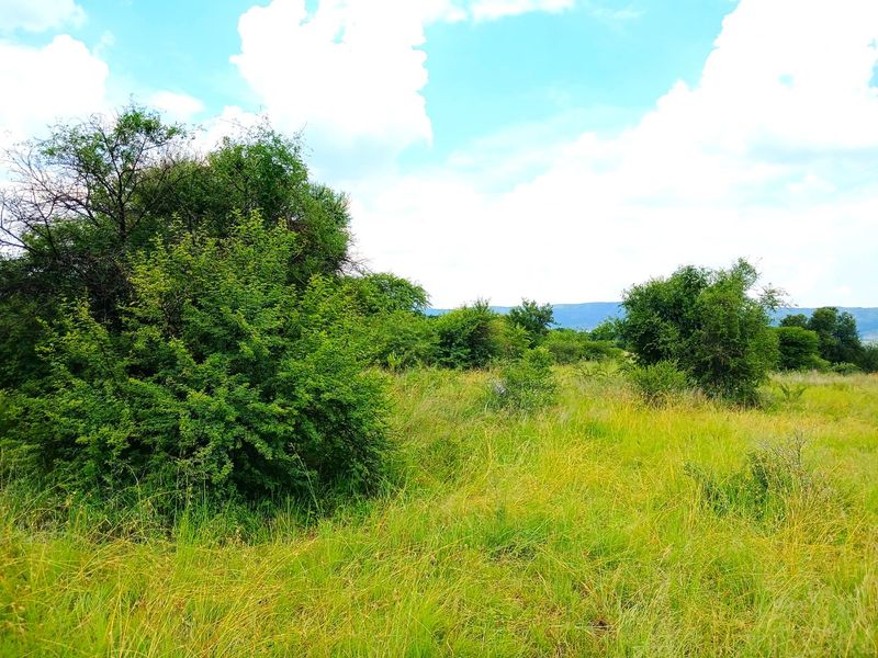 Versatile 28-Hectare Farm with Lucerne Income, Boreholes and Modern Housing Near Van der Hoff Road - Photo 10