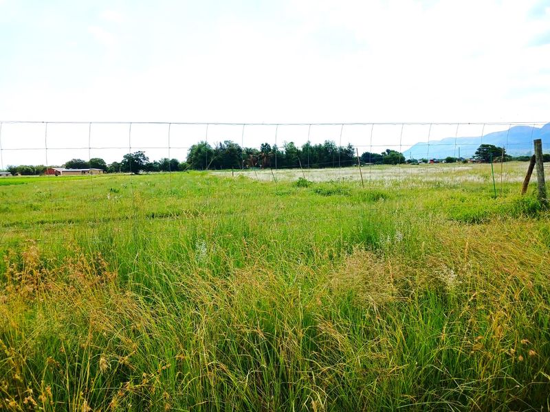 Versatile 28-Hectare Farm with Lucerne Income, Boreholes and Modern Housing Near Van der Hoff Road - Photo 8