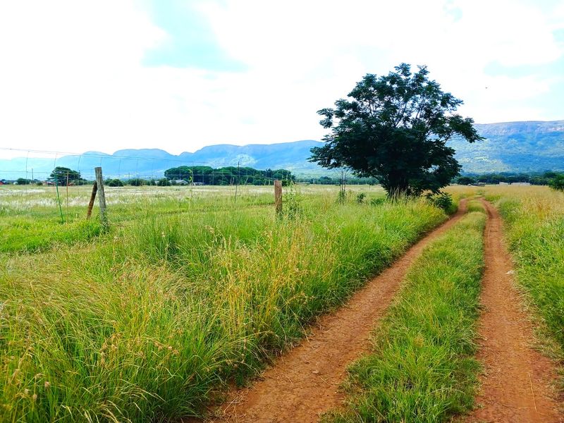 Versatile 28-Hectare Farm with Lucerne Income, Boreholes and Modern Housing Near Van der Hoff Road - Photo 7