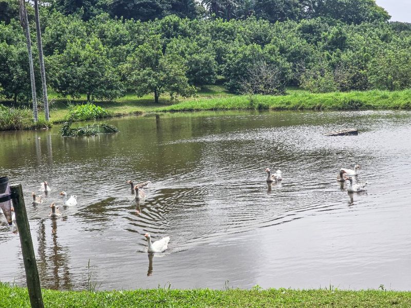 A Gentleman’s Residence Awaits! - Photo 2