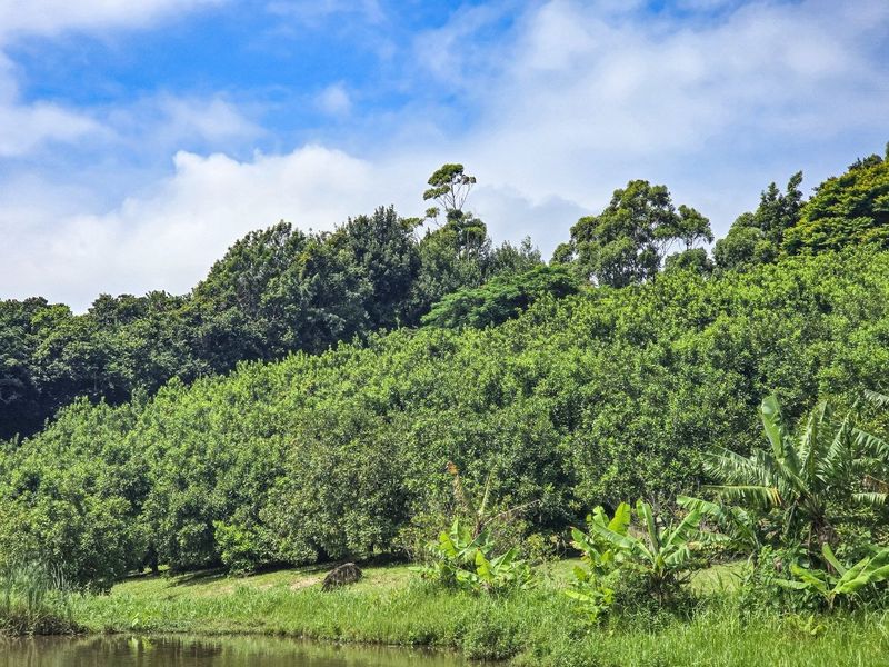 A Gentleman’s Residence Awaits! - Photo 4