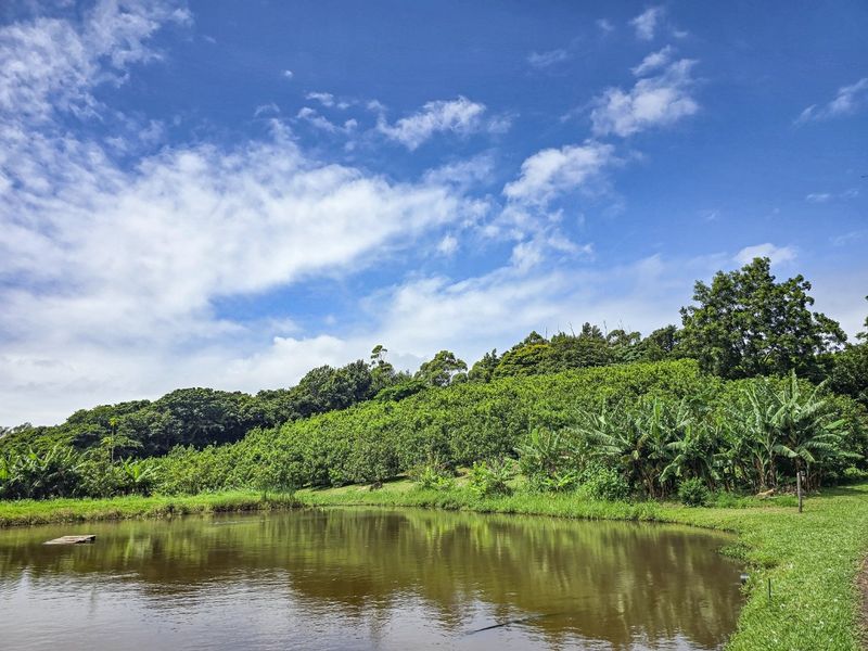 A Gentleman’s Residence Awaits! - Photo 3