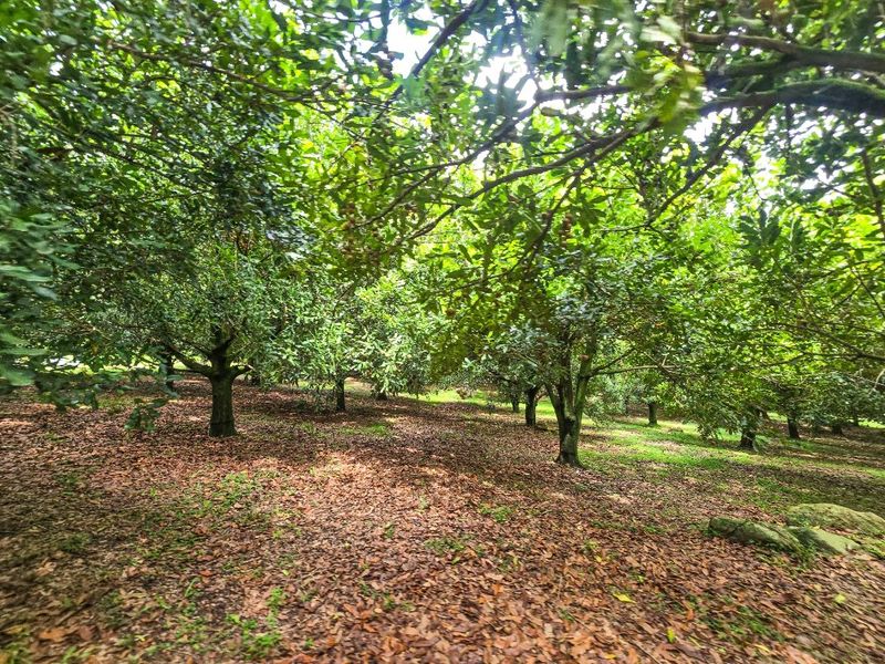 A Gentleman’s Residence Awaits! - Photo 7