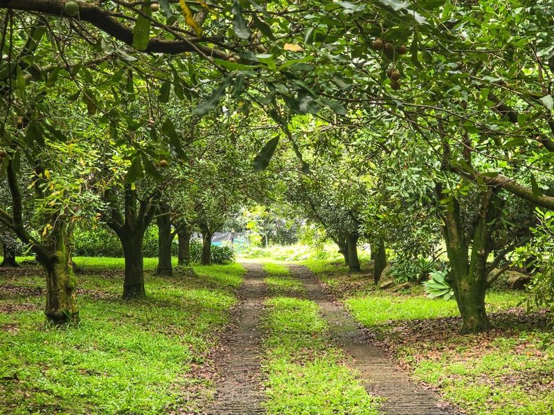 A Gentleman’s Residence Awaits! - Photo 5