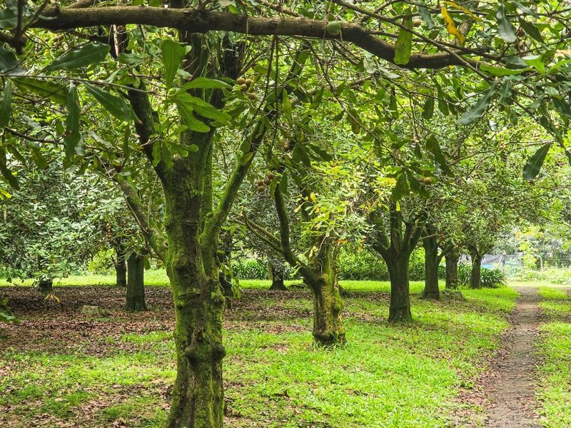 A Gentleman’s Residence Awaits! - Photo 6