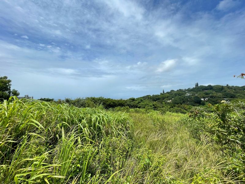 Ukusa River Estate in Sea Park - KZN South Coast - Photo 3