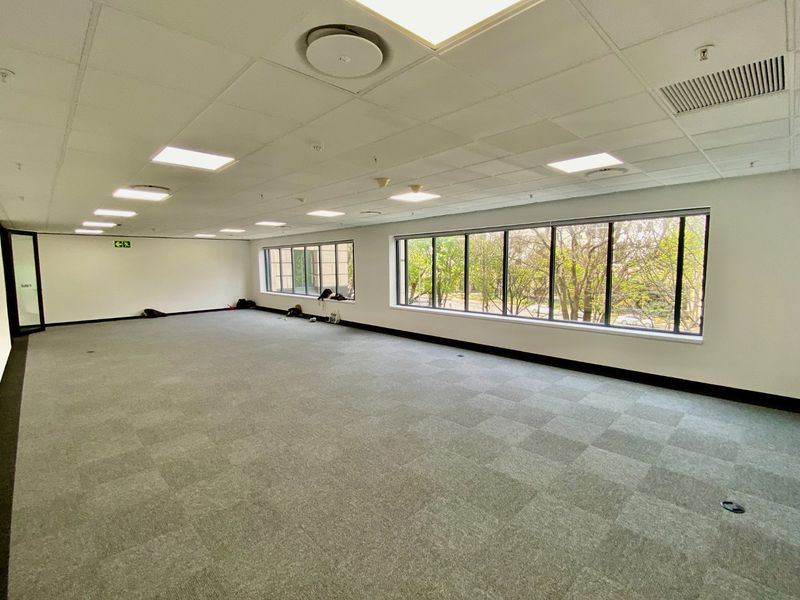 A spacious, open-plan commercial office suite featuring large windows, neutral carpet tiles, and a suspended ceiling with integrated lighting.