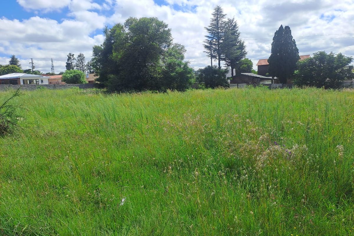 VACANT LAND - Photo 2