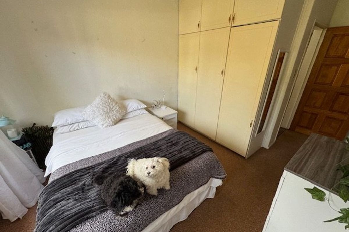 Spacious 5-Bedroom Home with Granny Flat and Pool - Photo 4