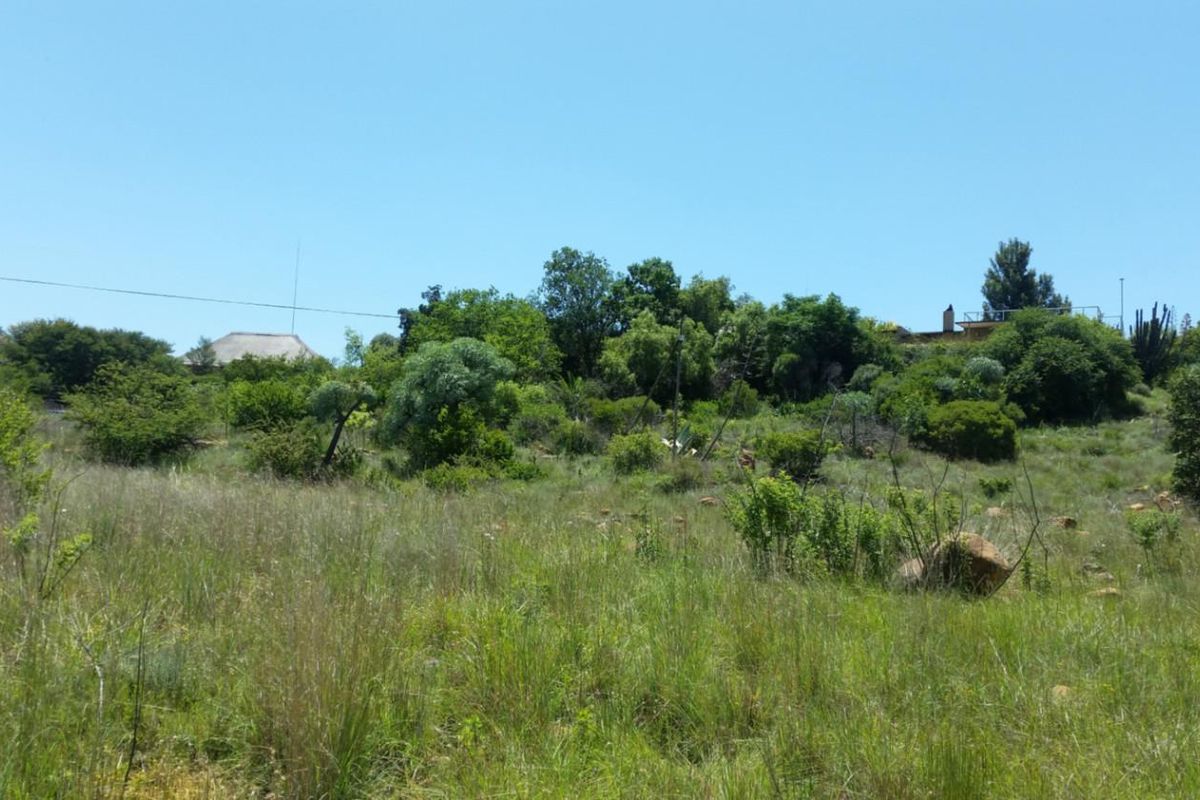 Buy Now! Build later! - Photo 4