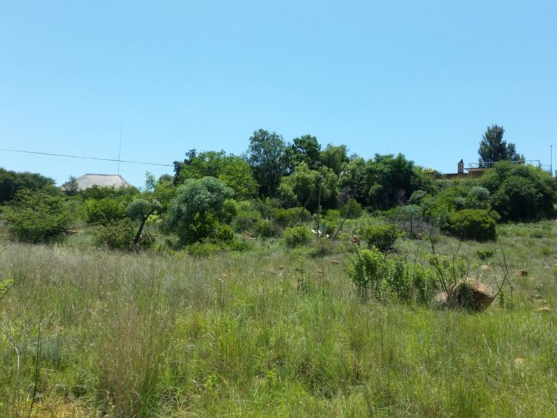 Buy Now! Build later! - Photo 4