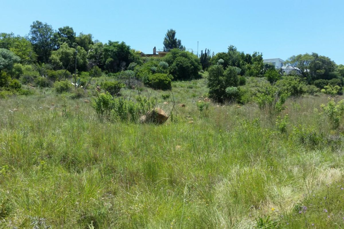 Buy Now! Build later! - Photo 3