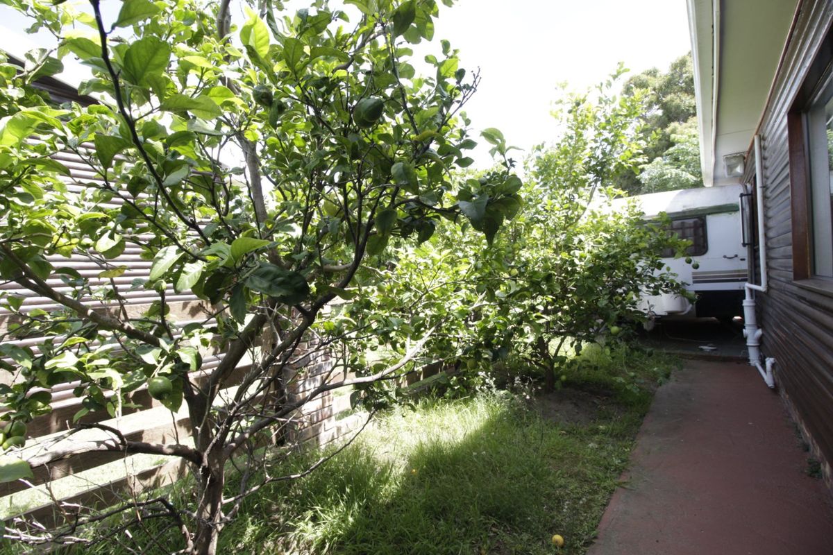 A side or rear exterior area featuring a concrete pathway, timber wall cladding, and established fruit trees along a brick retaining wall.