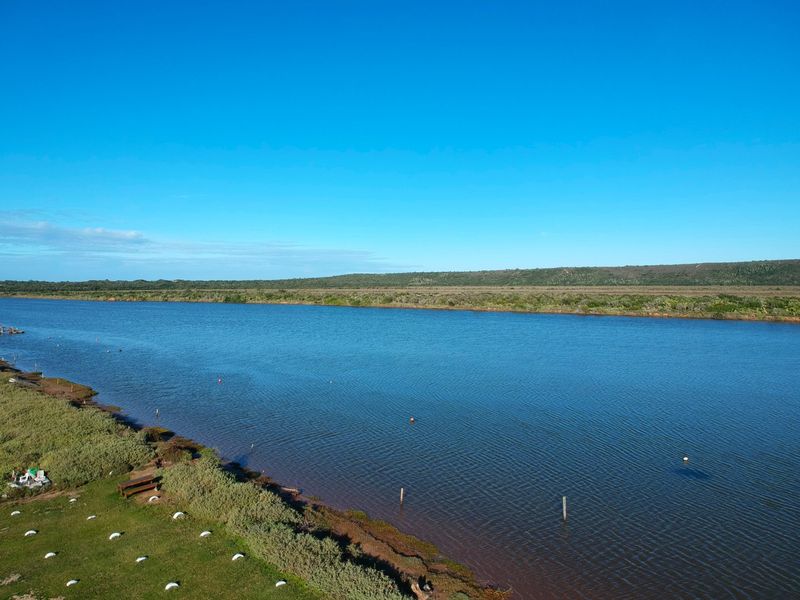 A scenic aerial view of a tranquil river landscape with natural vegetation along the banks under a clear blue sky.
