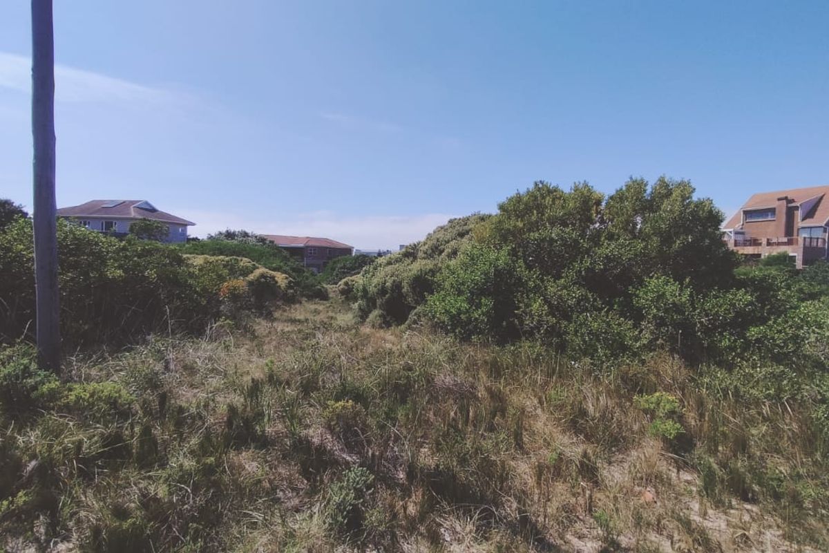 Embrace the relaxed lifestyle - Photo 5