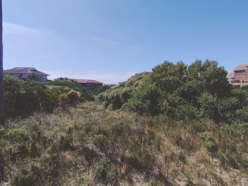 Embrace the relaxed lifestyle - Photo 5