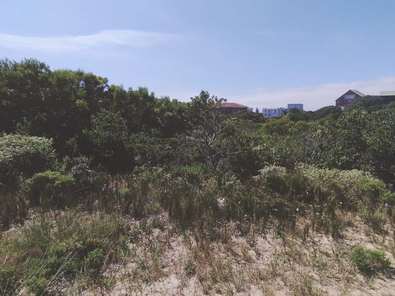 Embrace the relaxed lifestyle - Photo 4