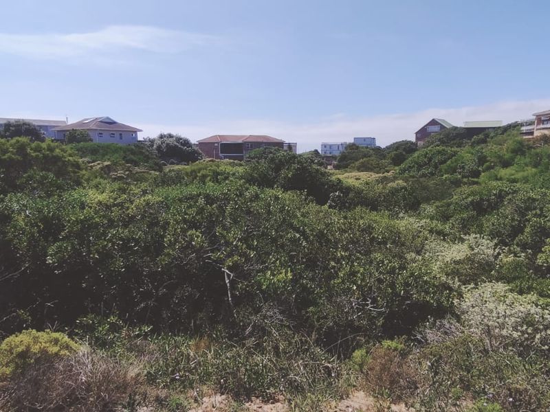 Embrace the relaxed lifestyle - Photo 3