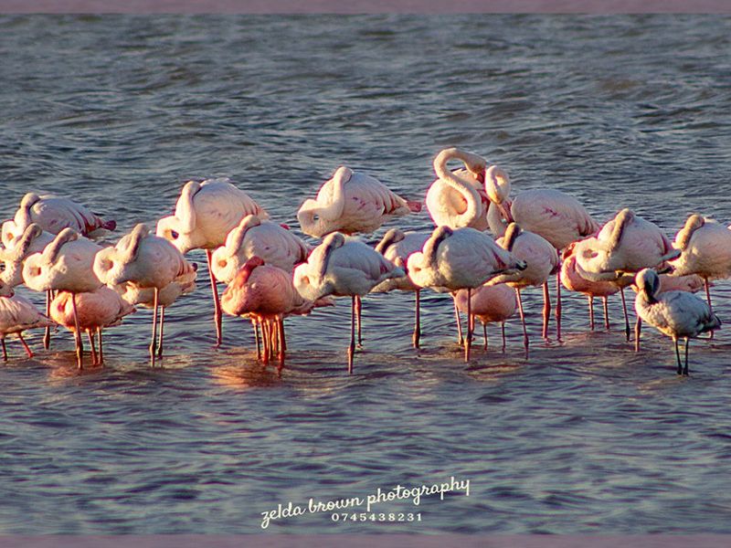 Embrace the relaxed lifestyle - Photo 10