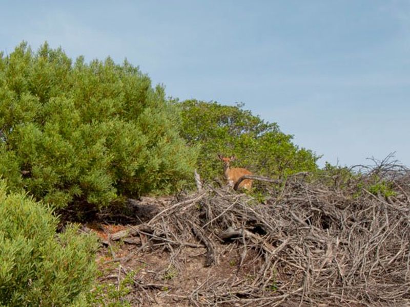 Embrace the relaxed lifestyle - Photo 9