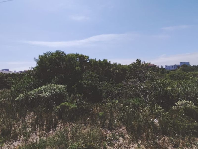 Embrace the relaxed lifestyle - Photo 7