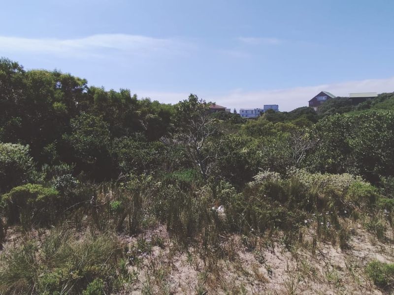 Embrace the relaxed lifestyle - Photo 6