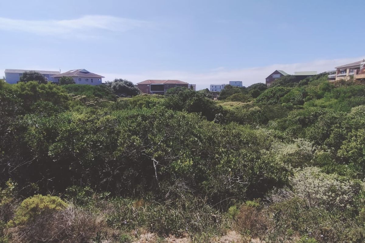 A view of the surrounding residential landscape and natural vegetation from the vacant residential property.