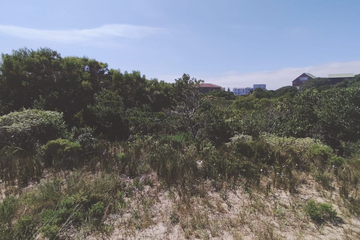 A view of a vacant residential plot featuring natural coastal vegetation and sandy terrain, situated in a quiet neighborhood setting.